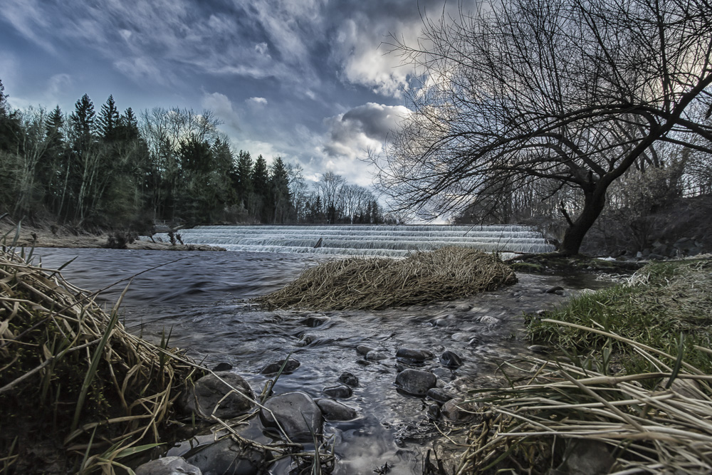 5. Platz Willi Bitzer